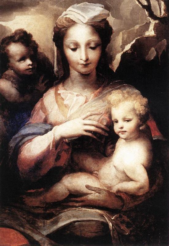  Madonna with the Infant Christ and St John the Baptist  gfgf